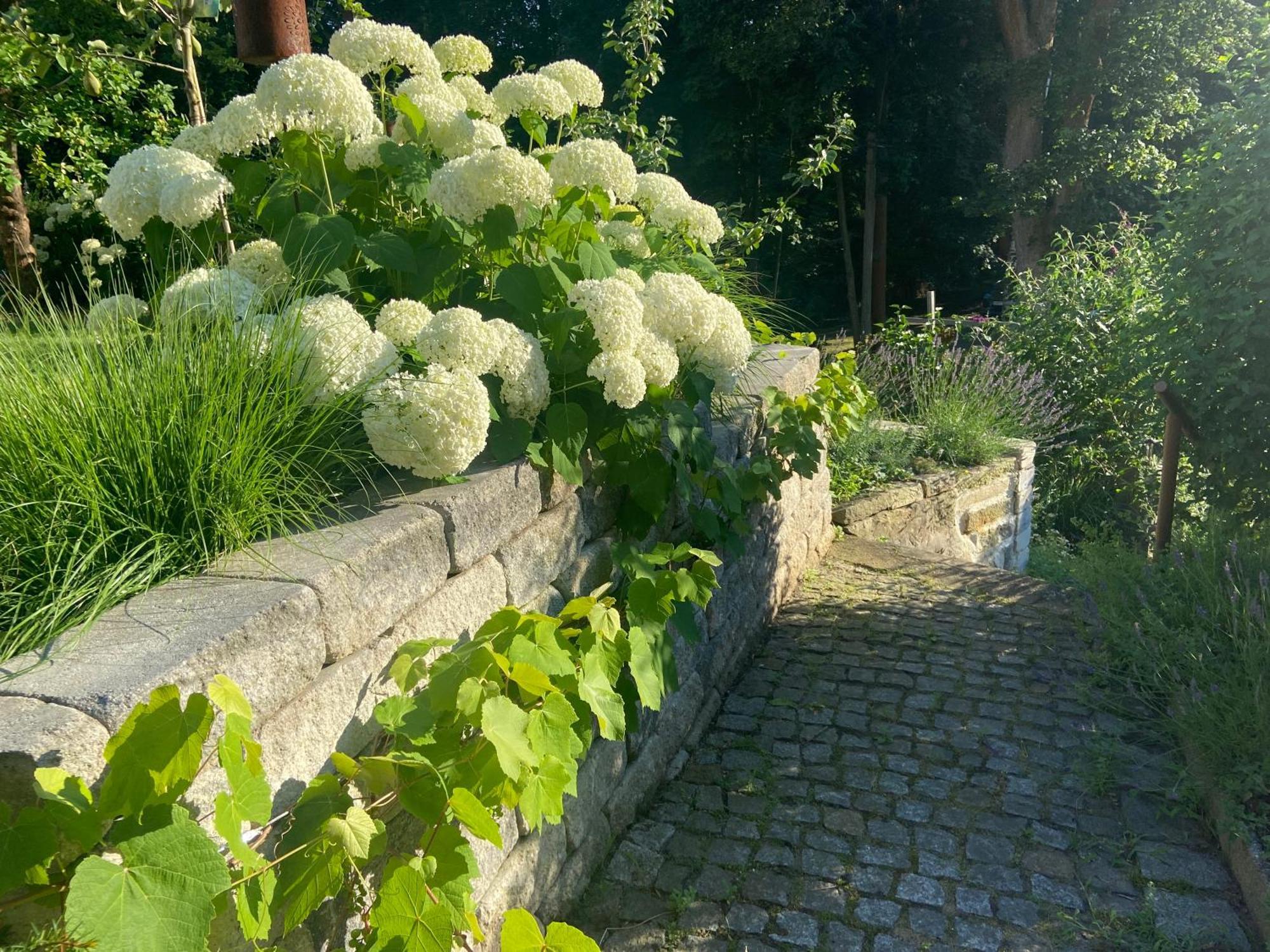 Konigsbruck Romantik Idyll Am Tiefental מראה חיצוני תמונה