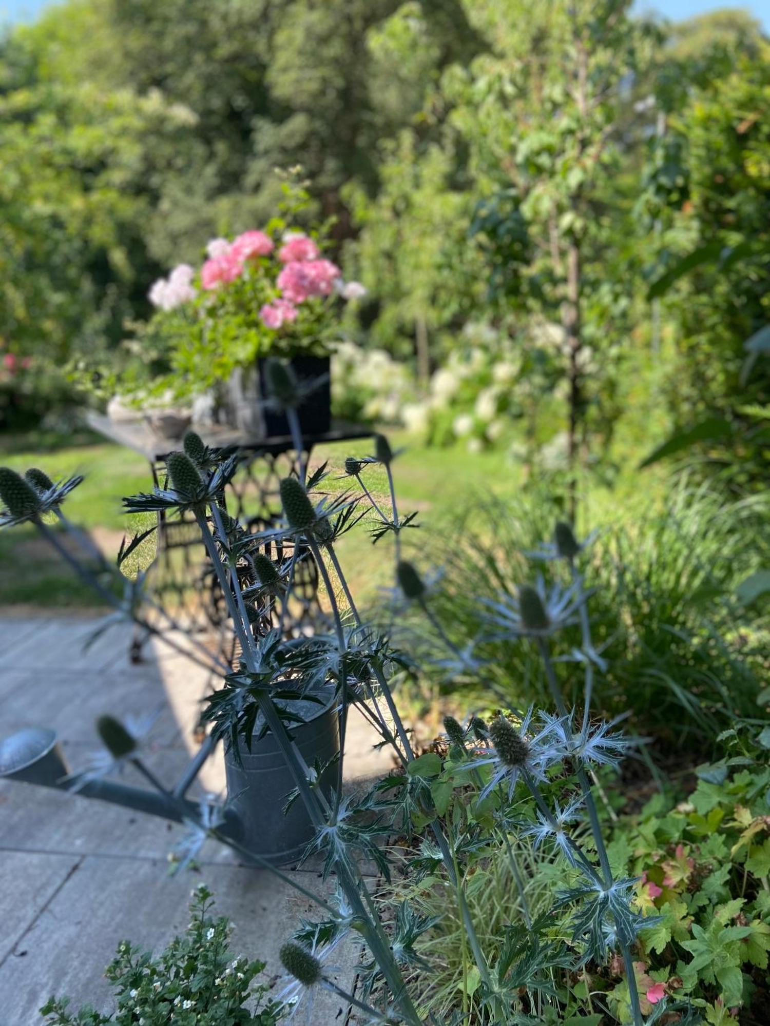 Konigsbruck Romantik Idyll Am Tiefental מראה חיצוני תמונה