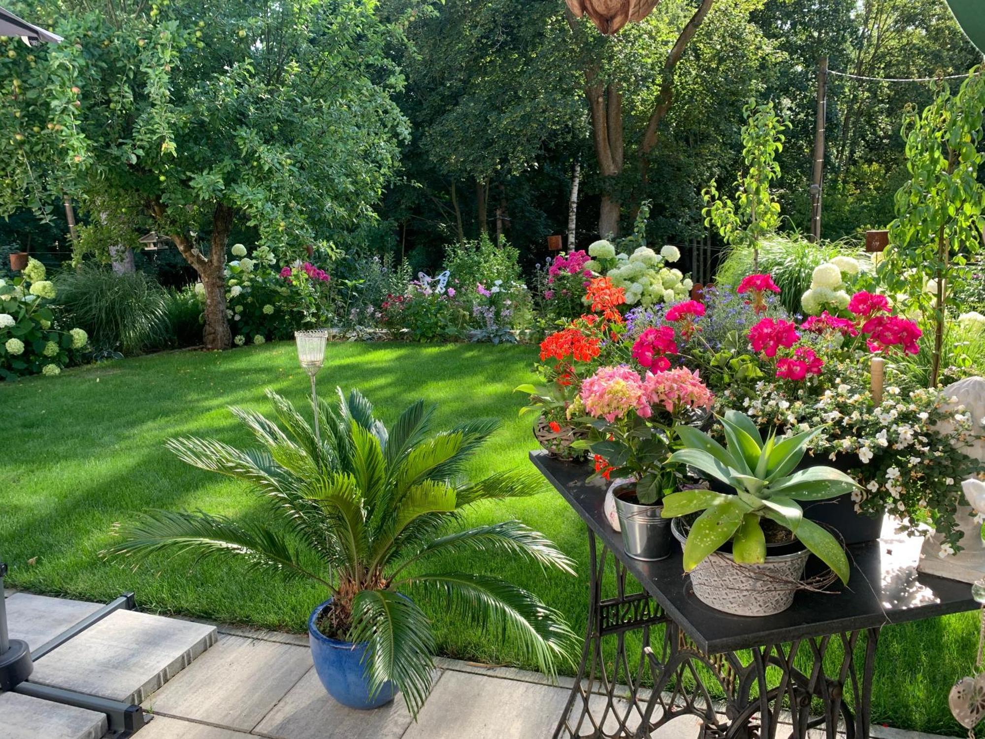 Konigsbruck Romantik Idyll Am Tiefental מראה חיצוני תמונה